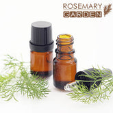 Chamomile Roman essential oil
